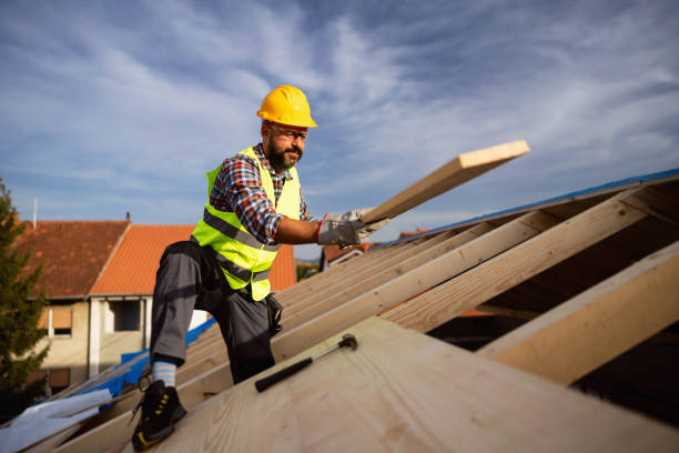 Best Roof Moss and Algae Removal  in Brooklyn Center, MN